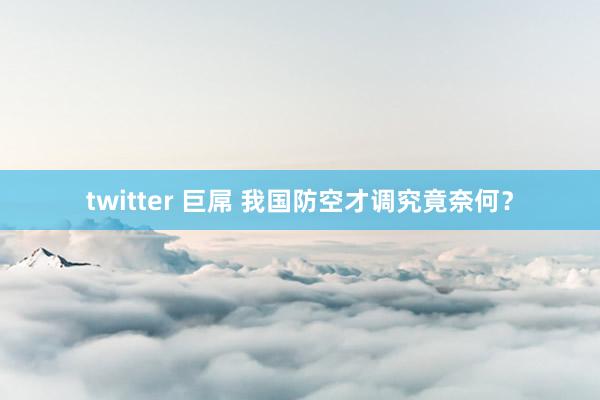 twitter 巨屌 我国防空才调究竟奈何？