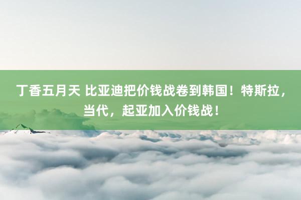 丁香五月天 比亚迪把价钱战卷到韩国！特斯拉，当代，起亚加入价钱战！