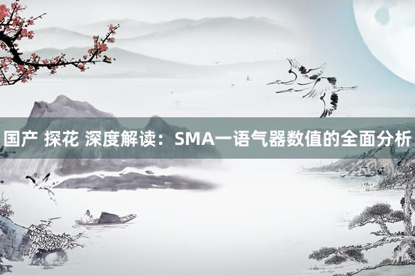国产 探花 深度解读：SMA一语气器数值的全面分析