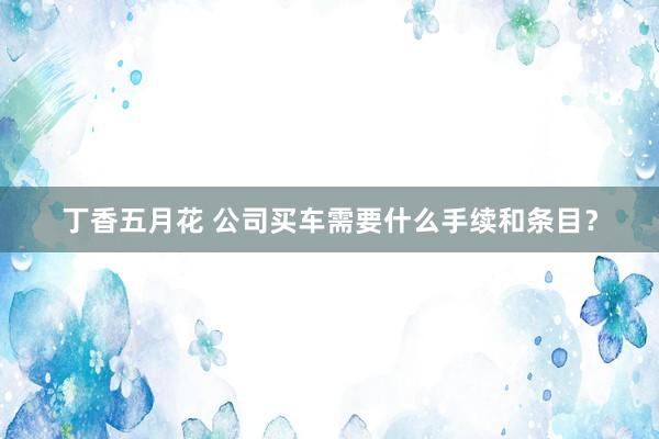 丁香五月花 公司买车需要什么手续和条目？