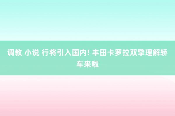调教 小说 行将引入国内! 丰田卡罗拉双擎理解轿车来啦